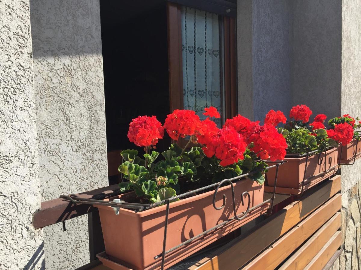 Residenza In Zona Pontedilegno T02034 Villa Villa d'Allegno Eksteriør billede